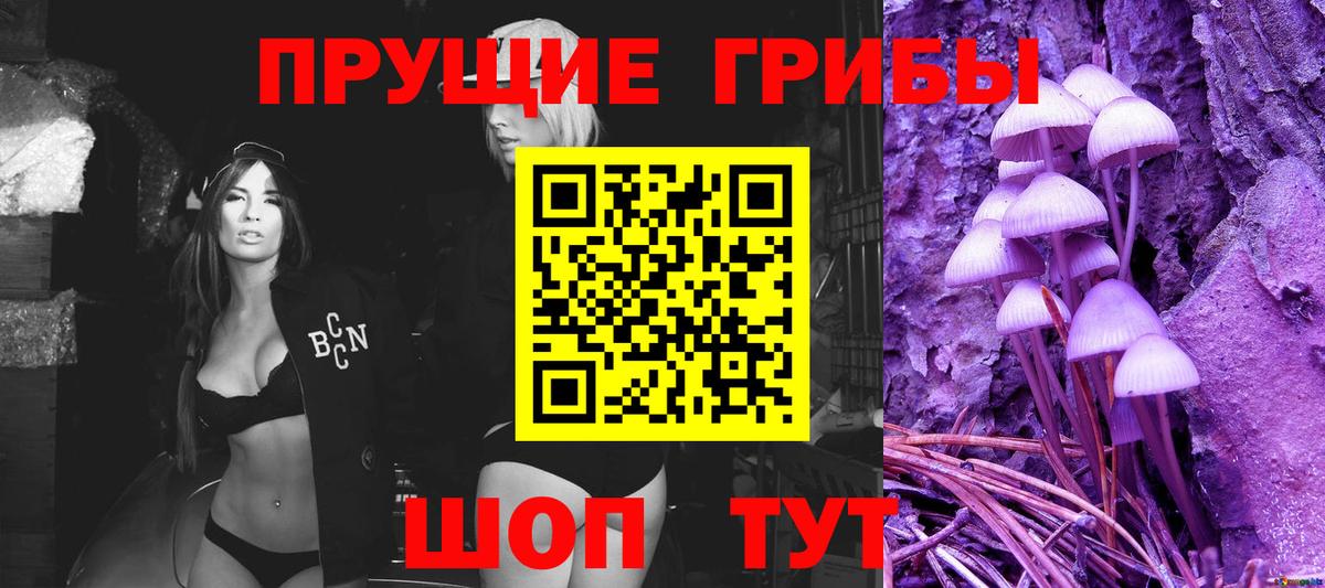 Минусинск  закладка  Вход с VPN  Псилоцибиновые грибы Psilocybine cubensis 